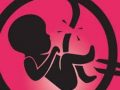 칠레에서 양심적 임신중절수술 거부를 규정한 법안의 위헌 여부